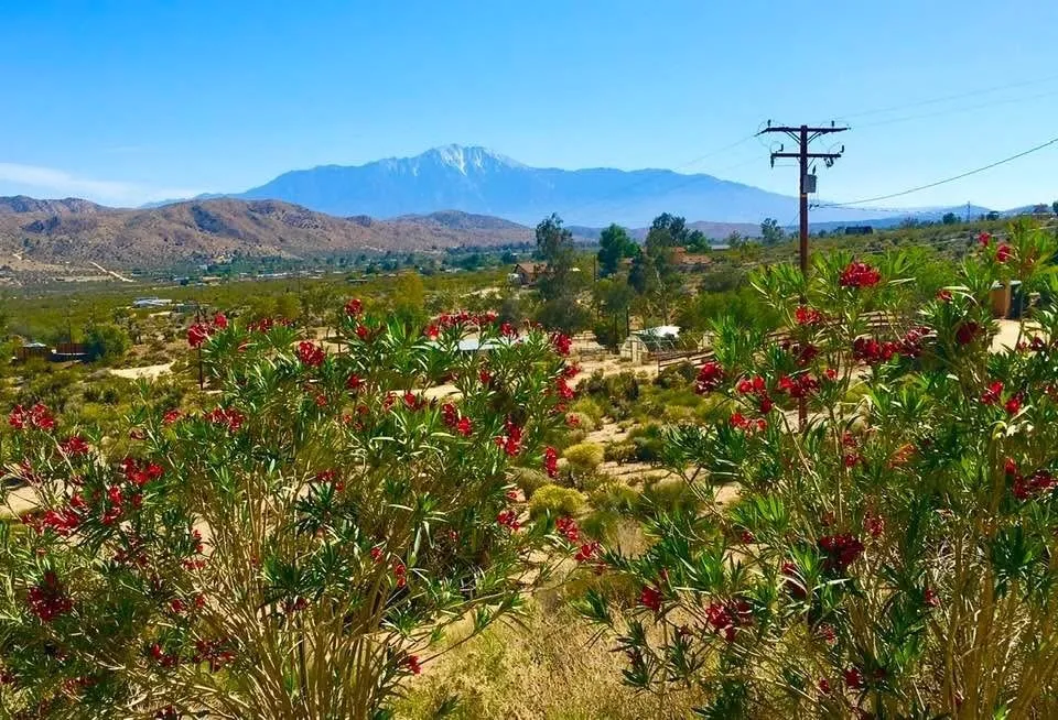 8787 Via La Scala Morongo Valley, CA 92256