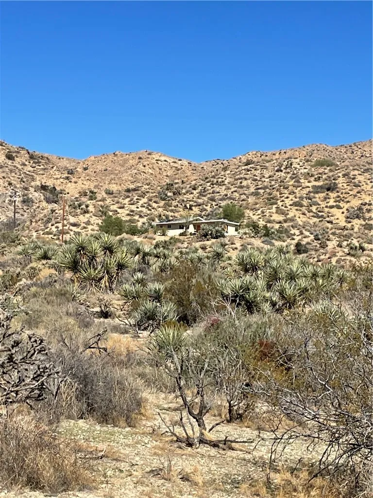 8787 Via La Scala Morongo Valley, CA 92256