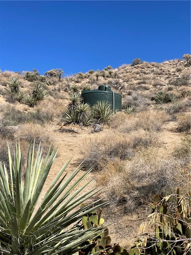 8787 Via La Scala Morongo Valley, CA 92256