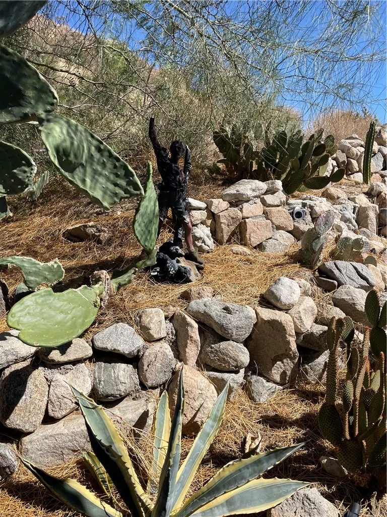8787 Via La Scala Morongo Valley, CA 92256