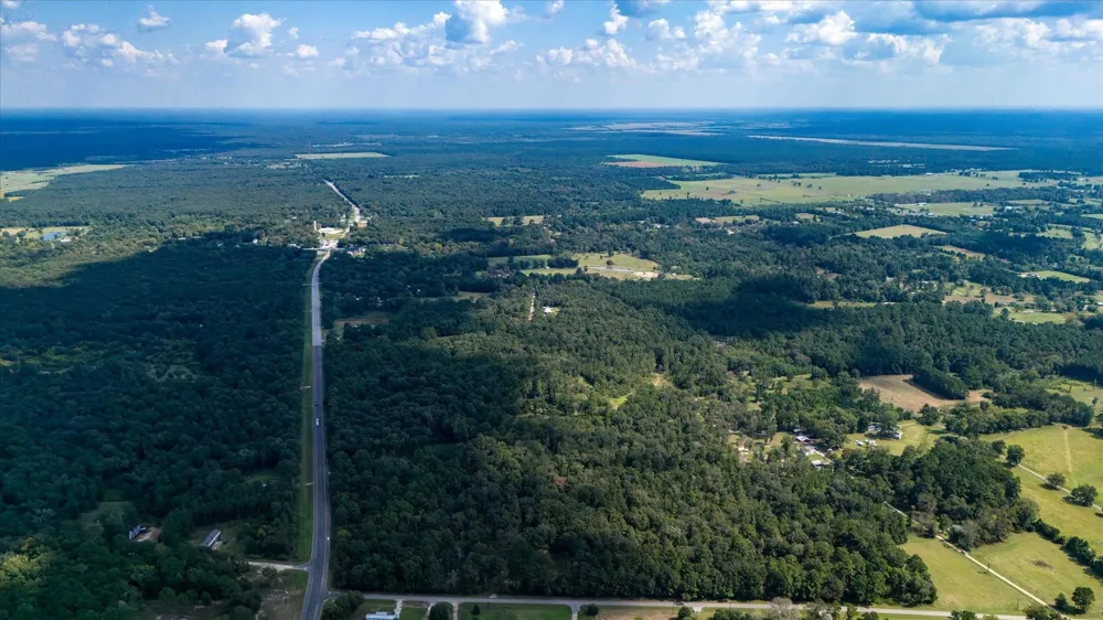 Lemon Fregia Rd Batson, TX 77519