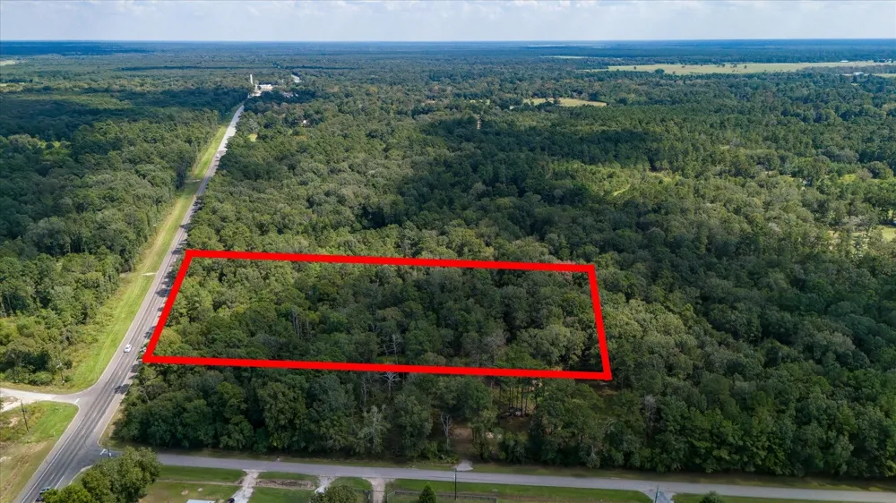 Lemon Fregia Rd Batson, TX 77519