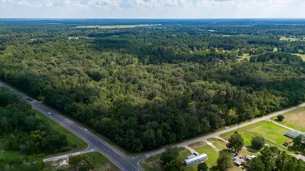 Lemon Fregia Rd Batson, TX 77519