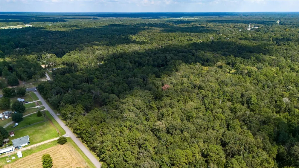 Lemon Fregia Rd Batson, TX 77519