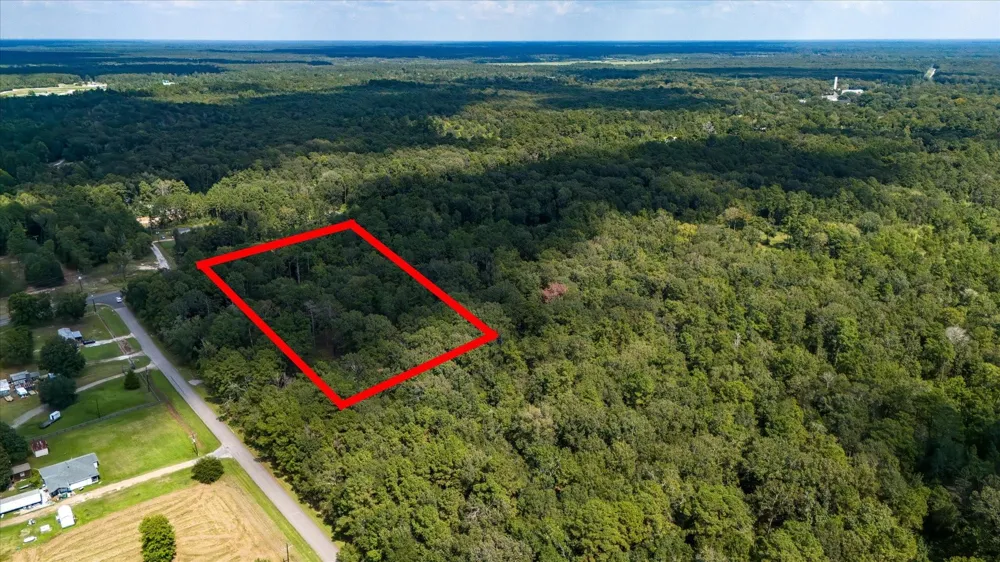 Lemon Fregia Rd Batson, TX 77519
