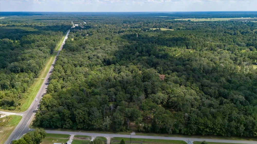 Lemon Fregia Rd Batson, TX 77519