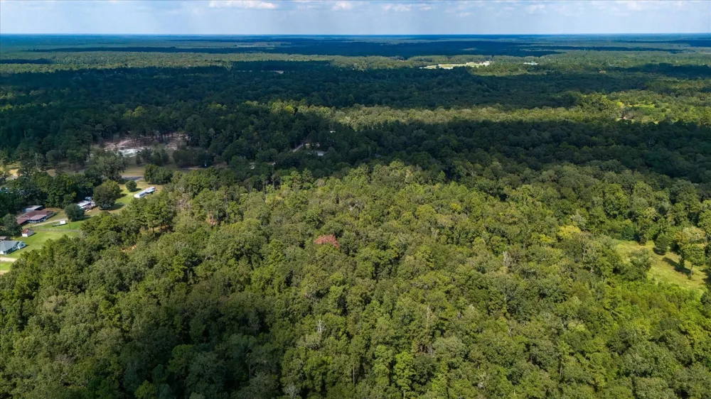 Lemon Fregia Rd Batson, TX 77519