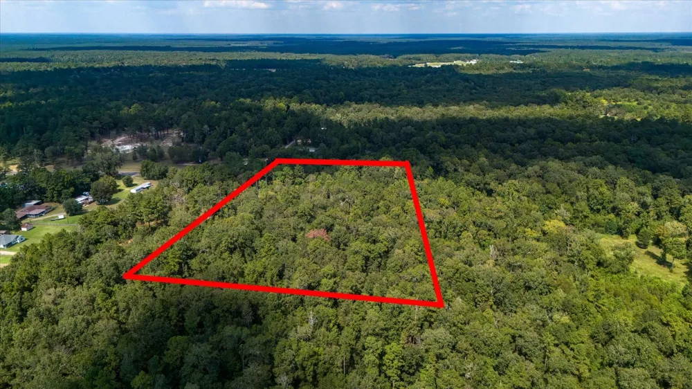 Lemon Fregia Rd Batson, TX 77519