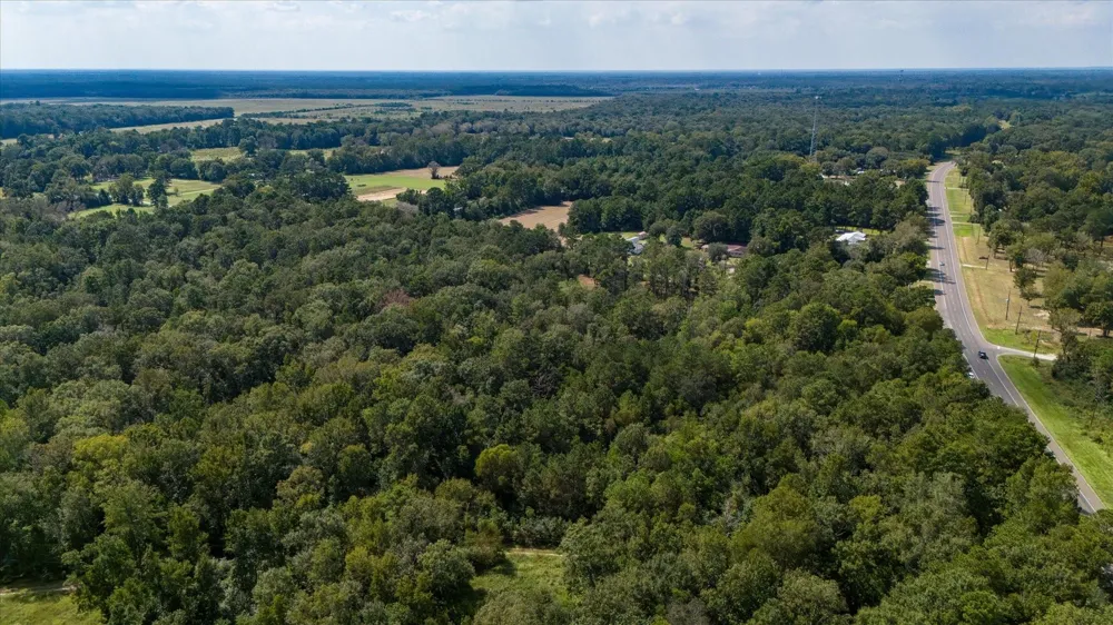 Lemon Fregia Rd Batson, TX 77519
