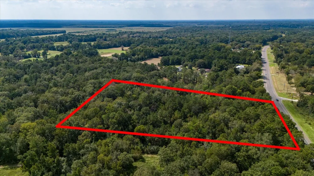 Lemon Fregia Rd Batson, TX 77519