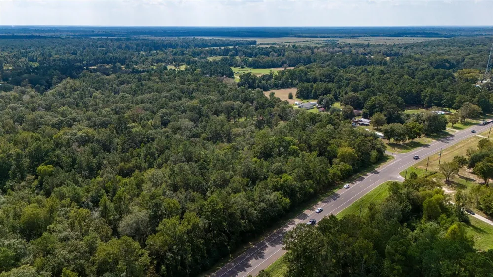 Lemon Fregia Rd Batson, TX 77519