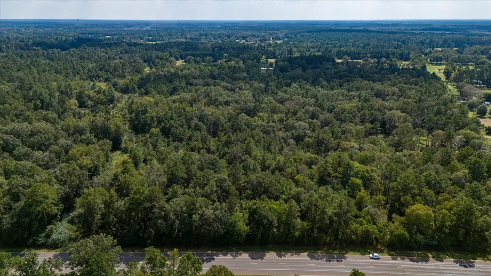 Lemon Fregia Rd Batson, TX 77519