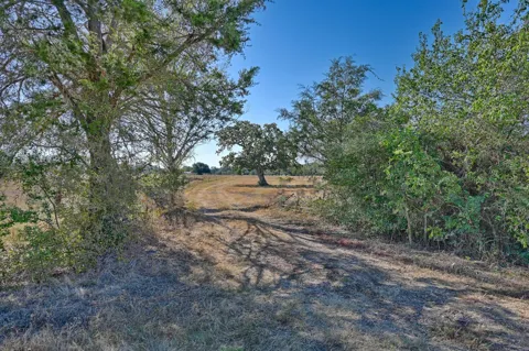 Ullrich Road