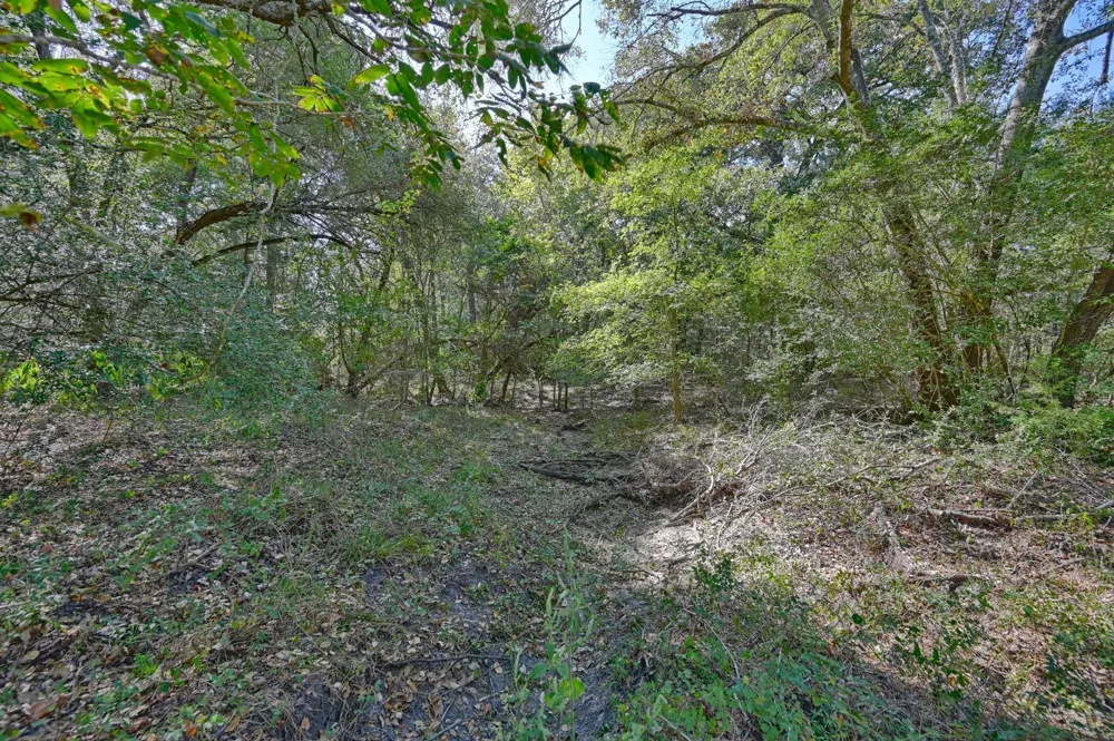 Ullrich Road Carmine, TX 78932