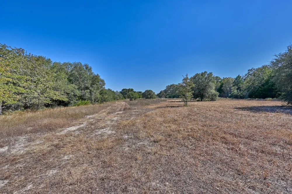 Ullrich Road Carmine, TX 78932