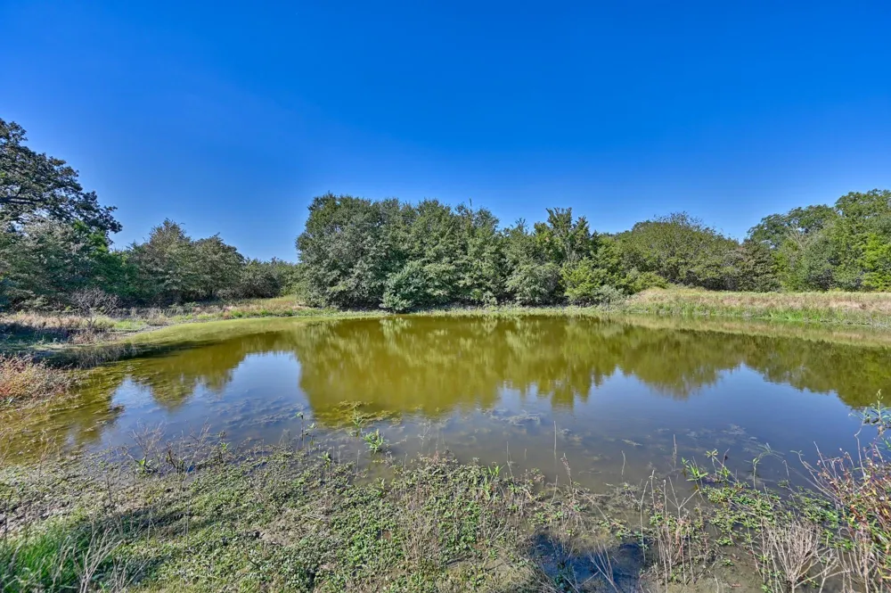 Ullrich Road Carmine, TX 78932
