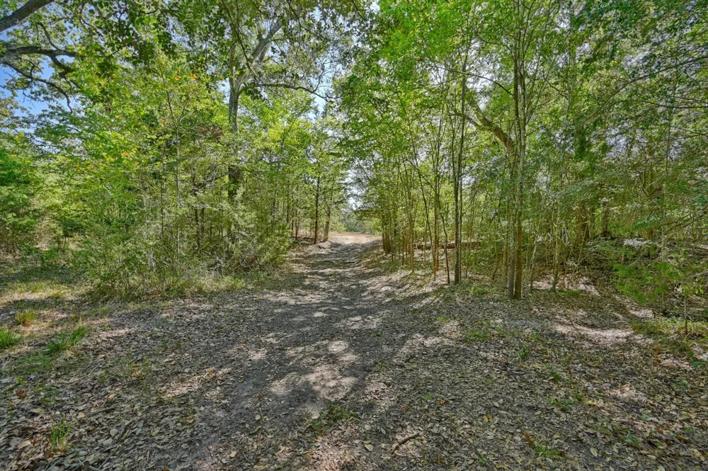 Ullrich Road Carmine, TX 78932