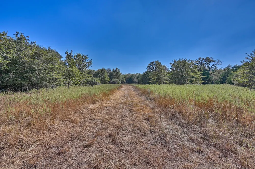 Ullrich Road Carmine, TX 78932