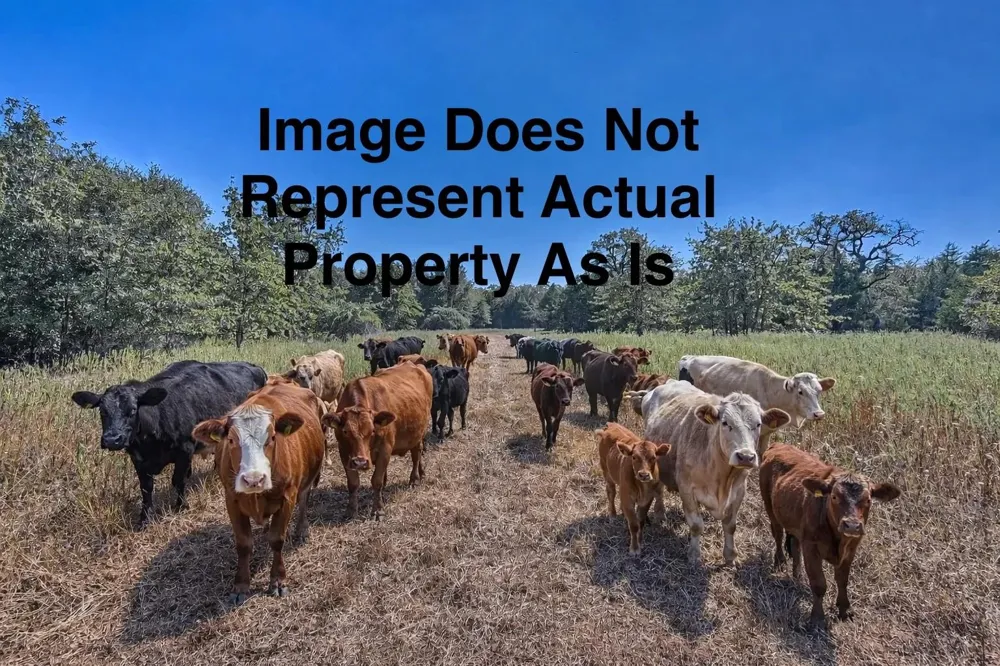 Ullrich Road Carmine, TX 78932