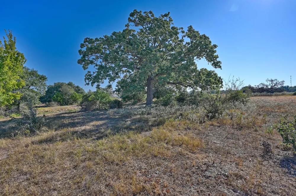 Ullrich Road Carmine, TX 78932
