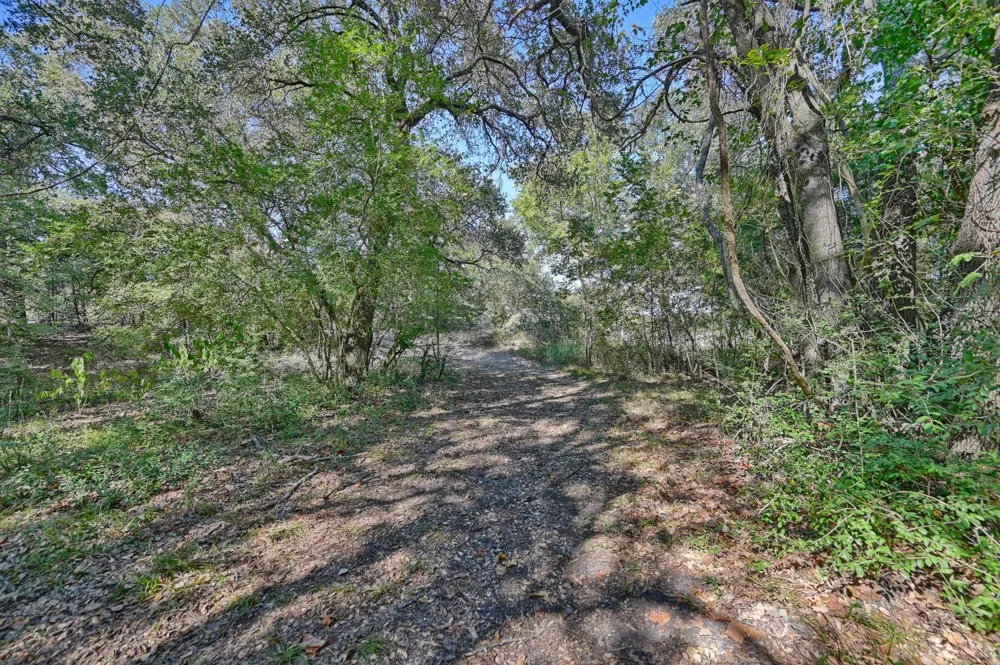 Ullrich Road Carmine, TX 78932
