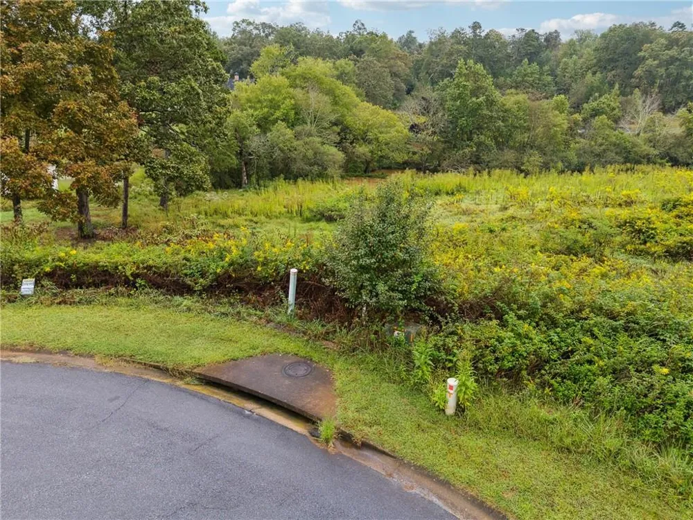 877 SWEETGRASS COURT Demorest, GA 30535