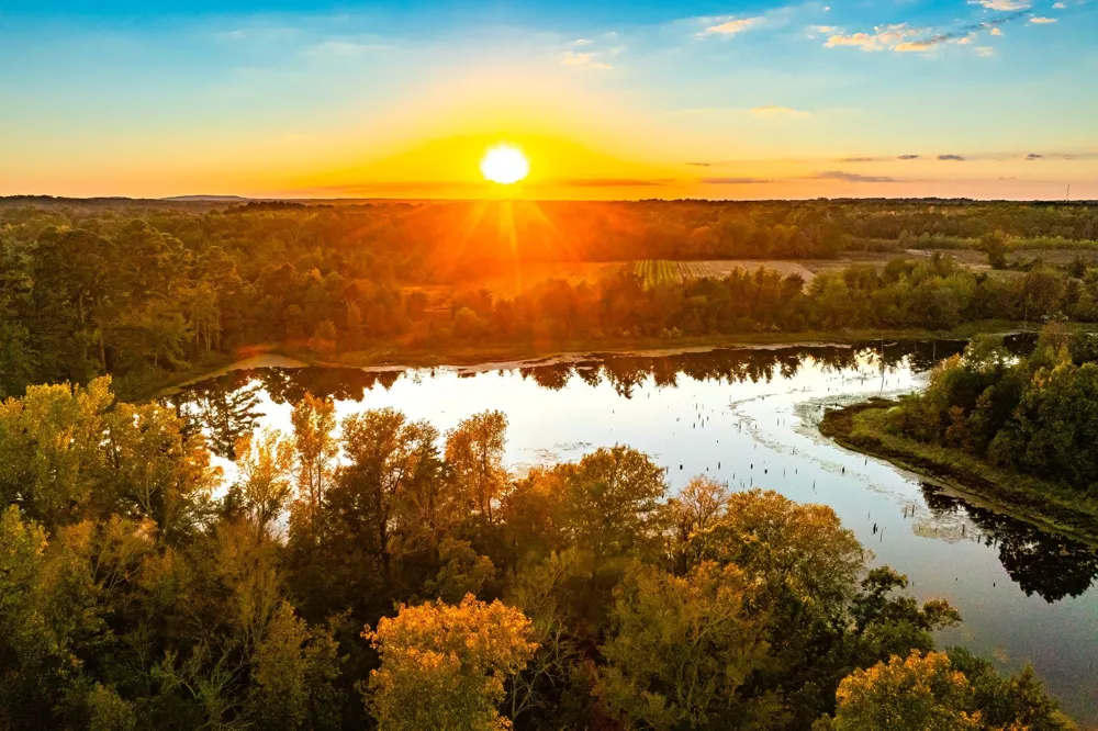 Cr-3411 Chandler, TX 75758