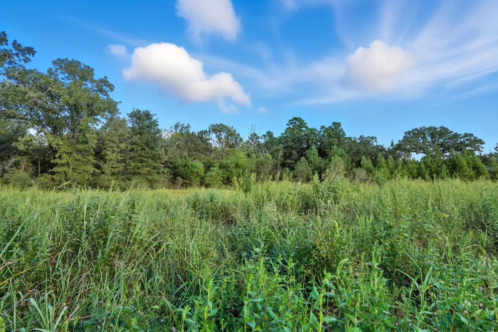 Tx-19 Riverside, TX 77367