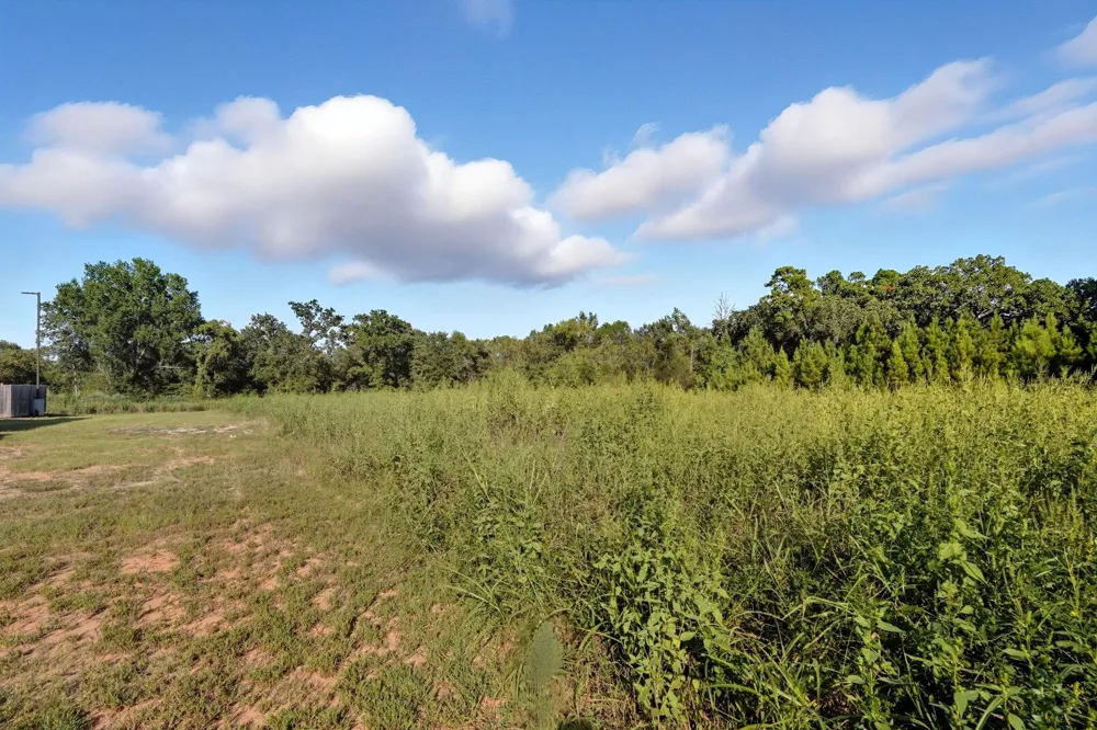 Tx-19 Riverside, TX 77367