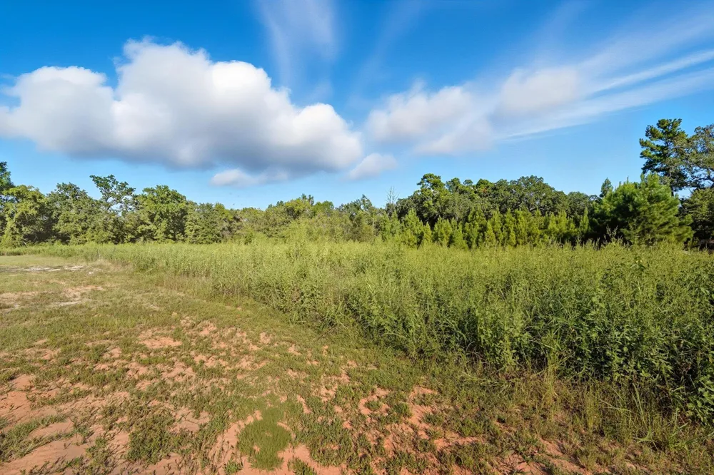 Tx-19 Riverside, TX 77367