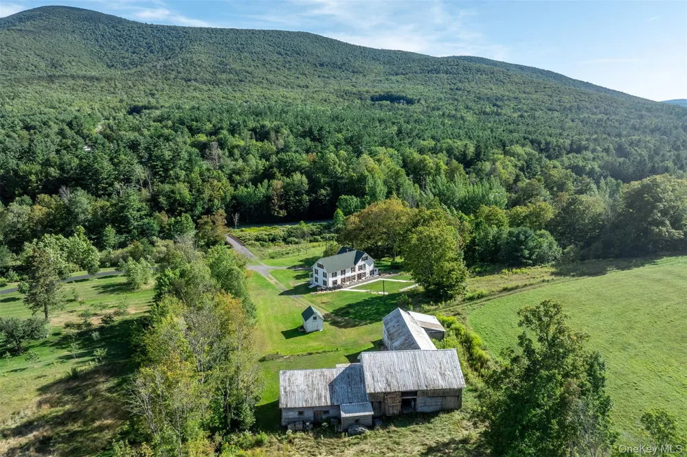 3 Leon Macglashan Road Windham, NY 12496