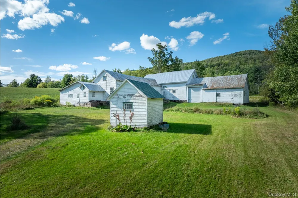 3 Leon Macglashan Road Windham, NY 12496