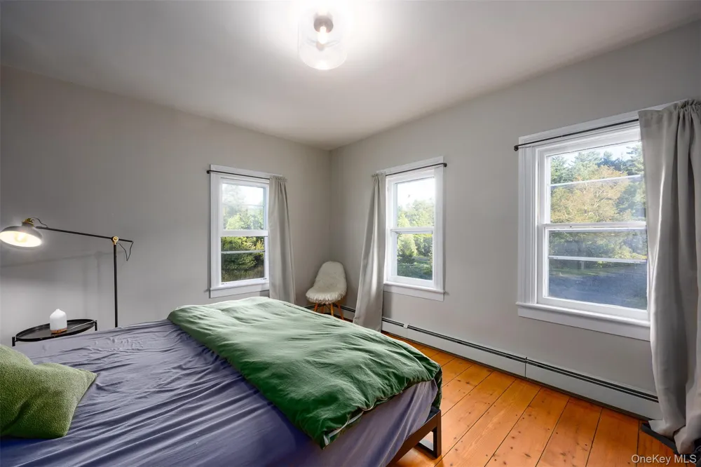 3 Leon Macglashan Road Windham, NY 12496