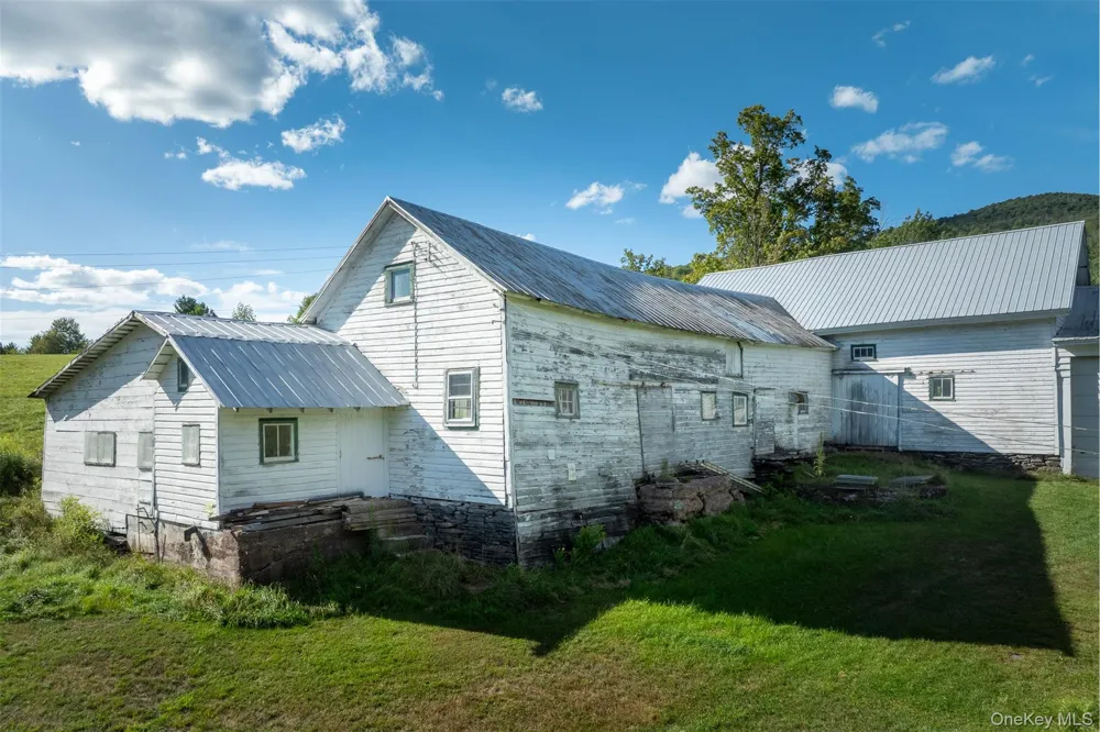 3 Leon Macglashan Road Windham, NY 12496