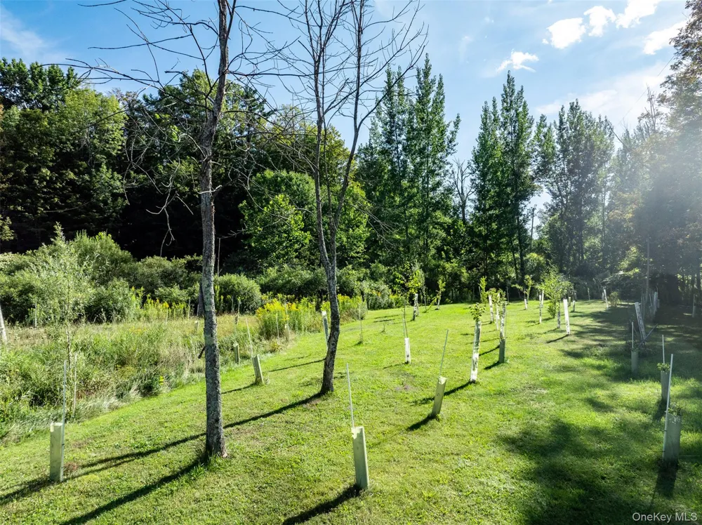 3 Leon Macglashan Road Windham, NY 12496