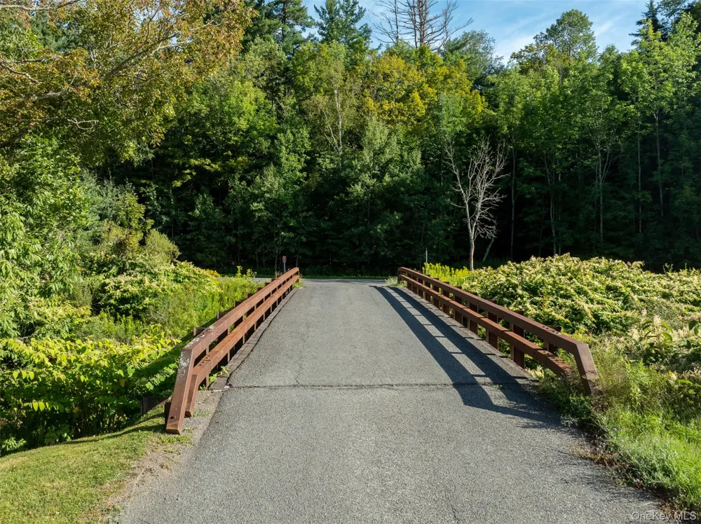 3 Leon Macglashan Road Windham, NY 12496
