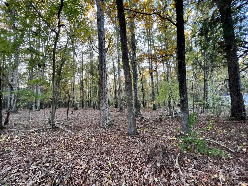 00 Charlotte Highway Lancaster, SC 29720