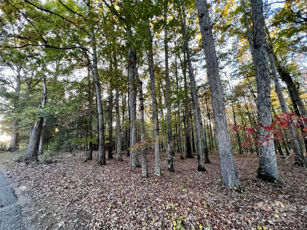 00 Charlotte Highway Lancaster, SC 29720