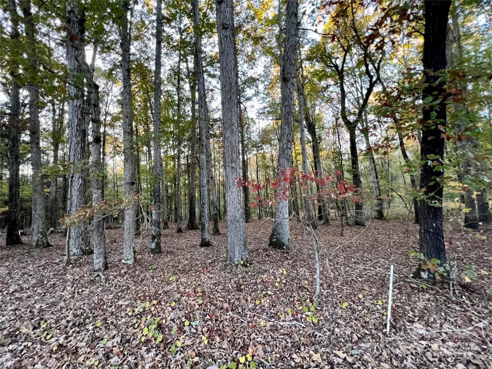 00 Charlotte Highway Lancaster, SC 29720