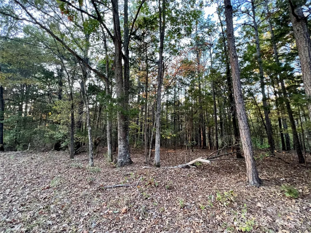 00 Charlotte Highway Lancaster, SC 29720