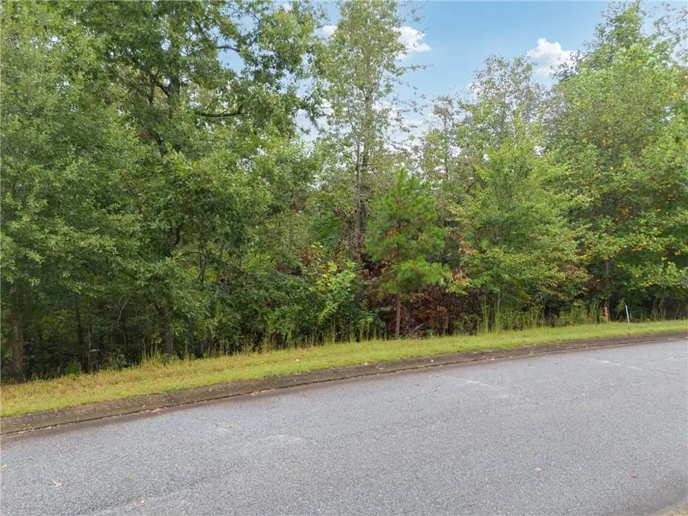 1616 St Augustine Court Demorest, GA 30535