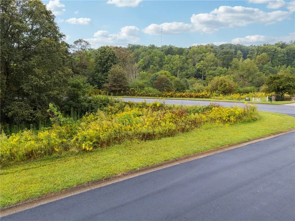 1344 Blue Grass Court Demorest, GA 30535