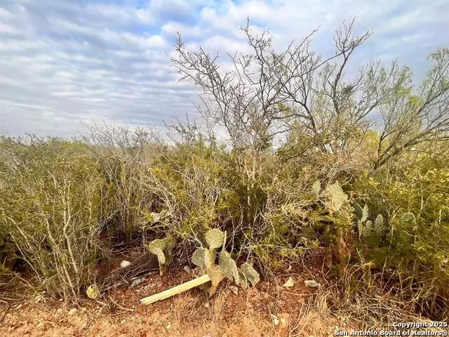 TRACT 17 Las Pilas Rd Laredo, TX 78043