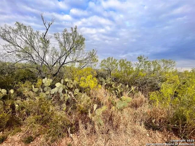 TRACT 17 Las Pilas Rd Laredo, TX 78043