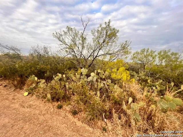 TRACT 17 Las Pilas Rd Laredo, TX 78043