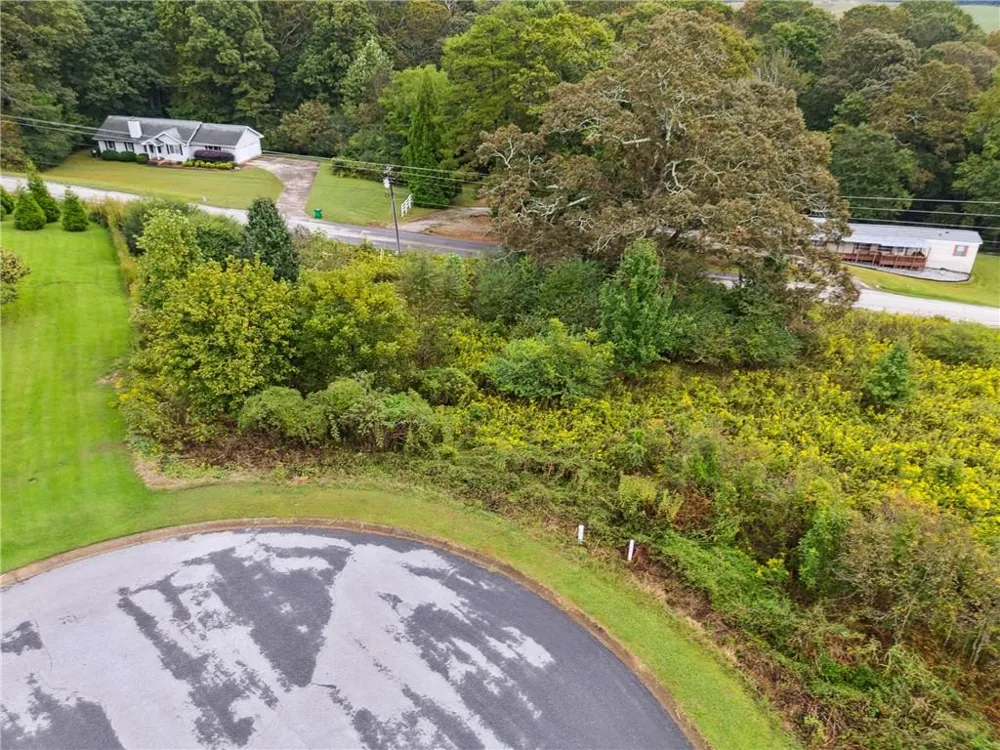 1132 Sydney Lane Demorest, GA 30535