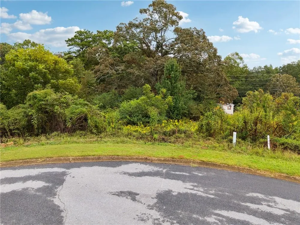1132 Sydney Lane Demorest, GA 30535