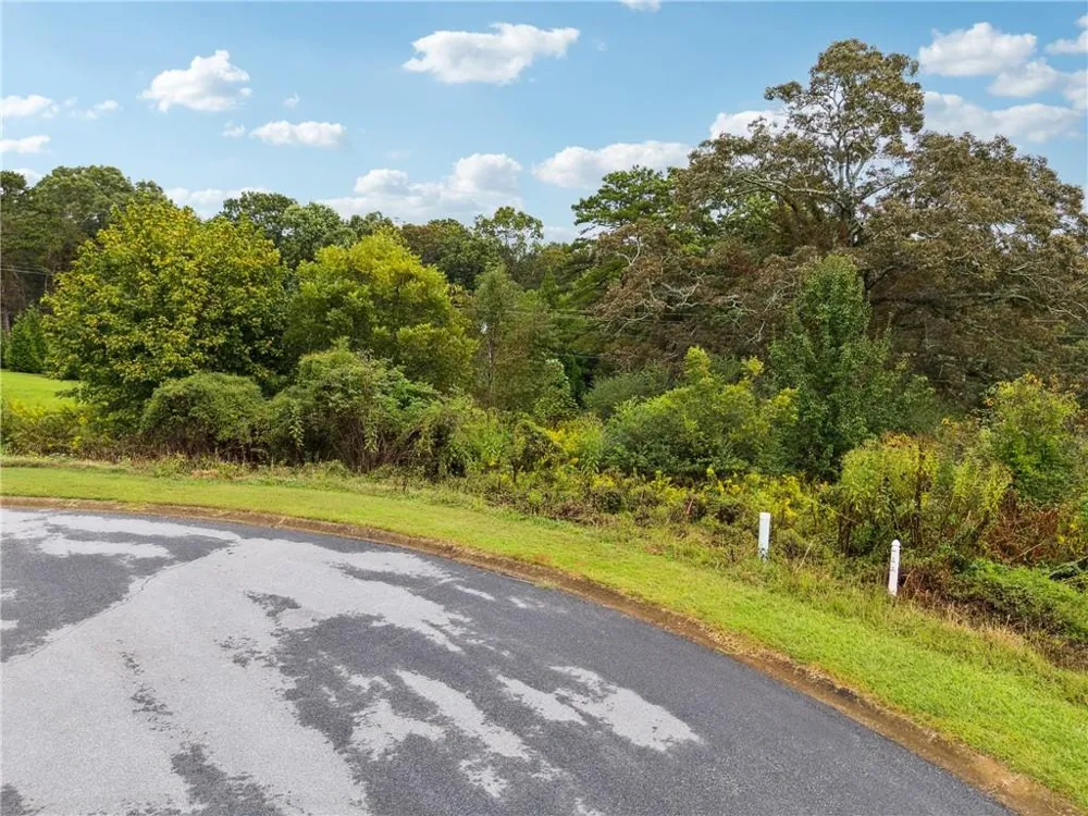 1132 Sydney Lane Demorest, GA 30535