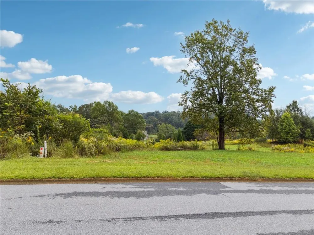1126 Sydney Lane Demorest, GA 30535