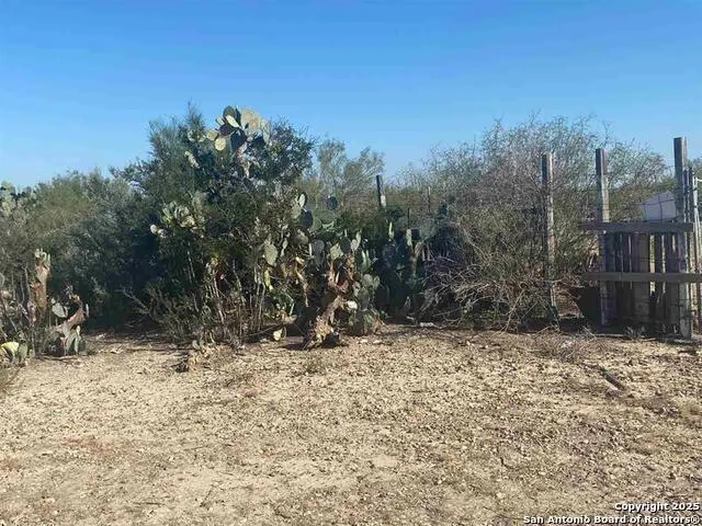 1 ACRE LOT 137 Don Chema Rd Laredo, TX 78043
